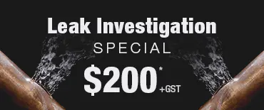 Leak Investigation Discount Pinehill